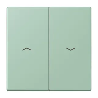 Jung Wippe 2fach, mit Pfeilsymbolen, Serie LS, vert anglais clair LC995P217