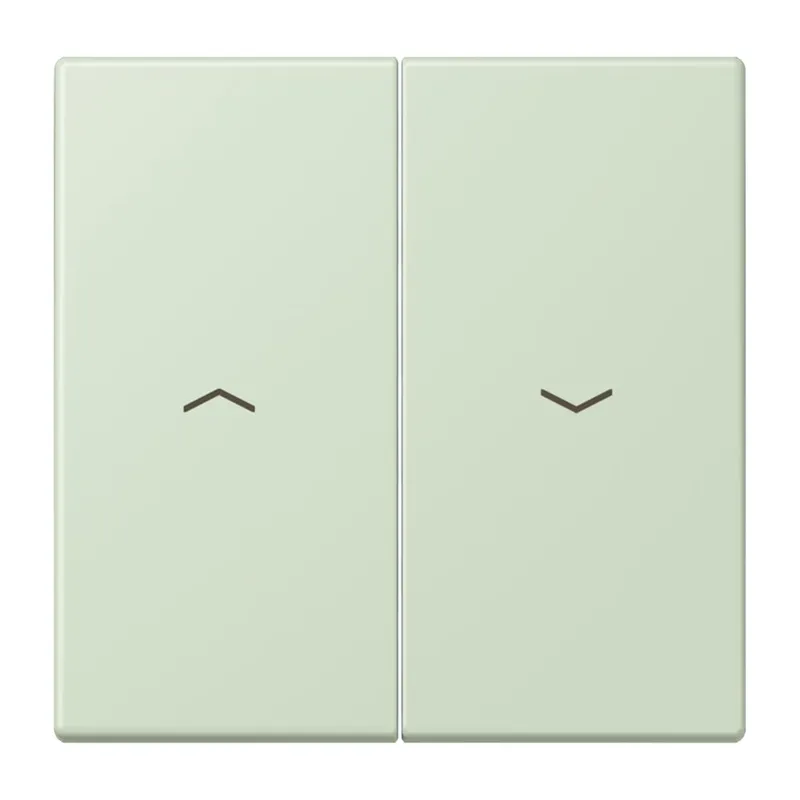 Jung Wippe 2fach, mit Pfeilsymbolen, Serie LS, vert anglâis pale LC995P218