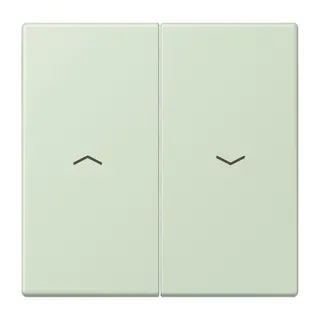 Jung Wippe 2fach, mit Pfeilsymbolen, Serie LS, vert anglâis pale LC995P218