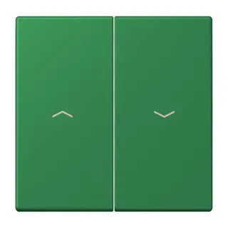 Jung Wippe 2fach, mit Pfeilsymbolen, Serie LS, vert foncé LC995P219