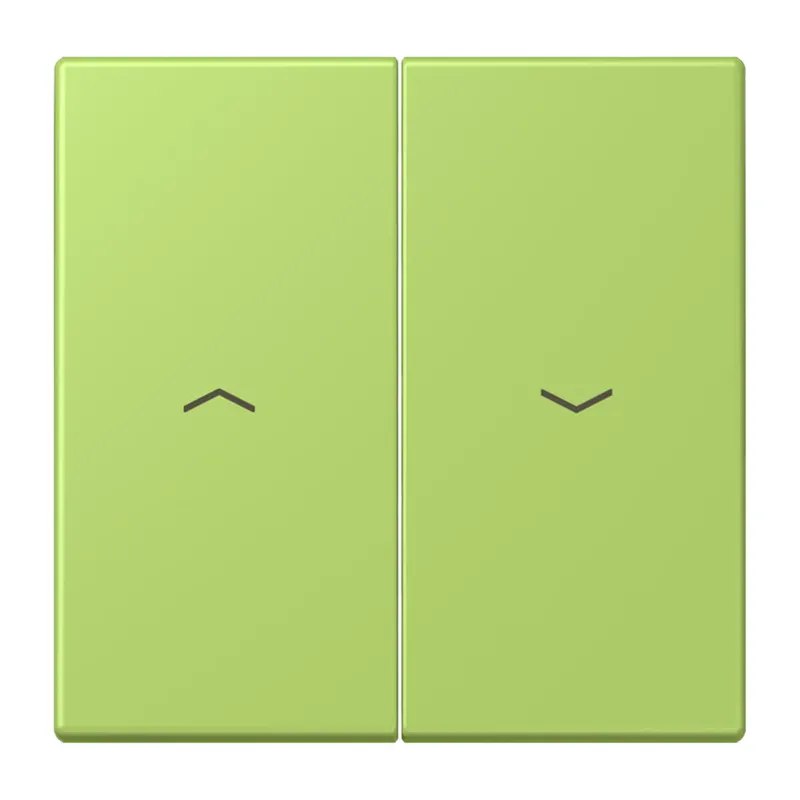 Jung Wippe 2fach, mit Pfeilsymbolen, Serie LS, vert clair LC995P221