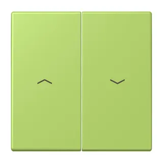 Jung Wippe 2fach, mit Pfeilsymbolen, Serie LS, vert clair LC995P221