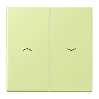 Jung Wippe 2fach, mit Pfeilsymbolen, Serie LS, vert jaune clair LC995P222