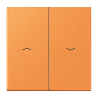 Jung Wippe 2fach, mit Pfeilsymbolen, Serie LS, orange clair LC995P225