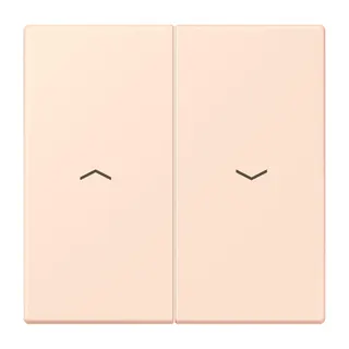 Jung Wippe 2fach, mit Pfeilsymbolen, Serie LS, orange pâle LC995P226