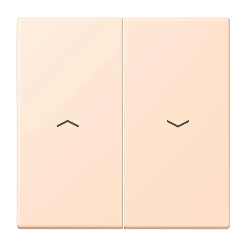 Jung Wippe 2fach, mit Pfeilsymbolen, Serie LS, rose pâle LC995P228