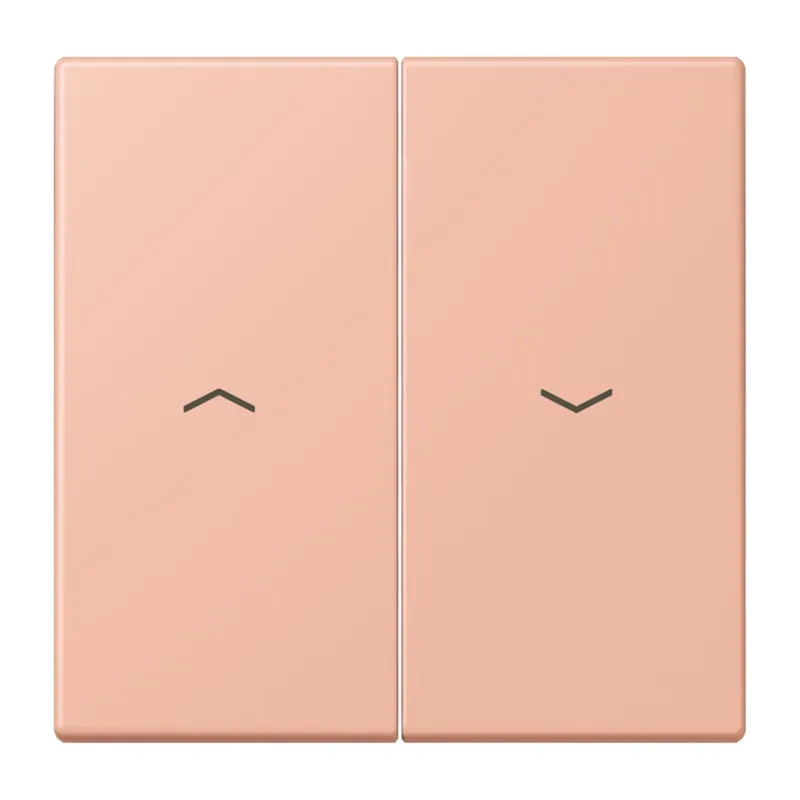 Jung Wippe 2fach, mit Pfeilsymbolen, Serie LS, rose clair LC995P231