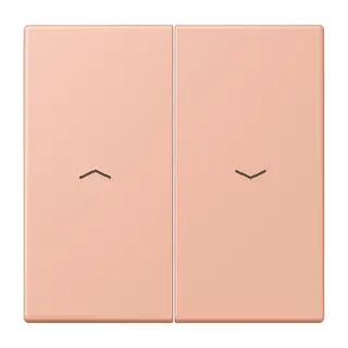 Jung Wippe 2fach, mit Pfeilsymbolen, Serie LS, rose clair LC995P231