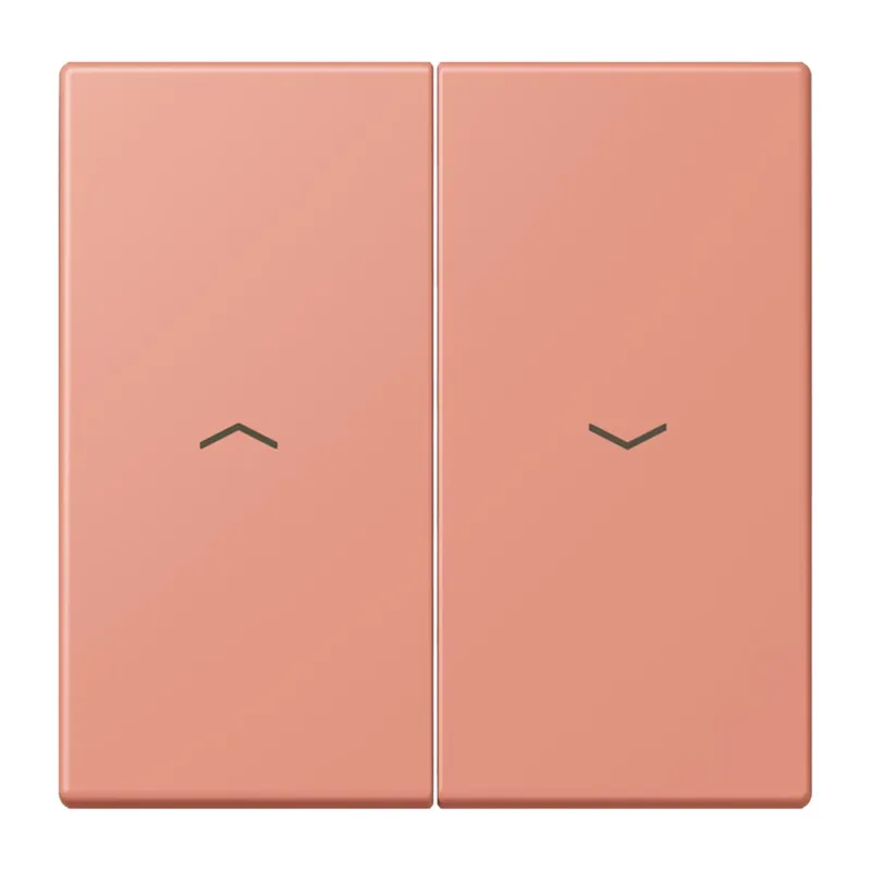 Jung Wippe 2fach, mit Pfeilsymbolen, Serie LS, l'ocre rouge moyen LC995P233