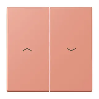 Jung Wippe 2fach, mit Pfeilsymbolen, Serie LS, l'ocre rouge moyen LC995P233