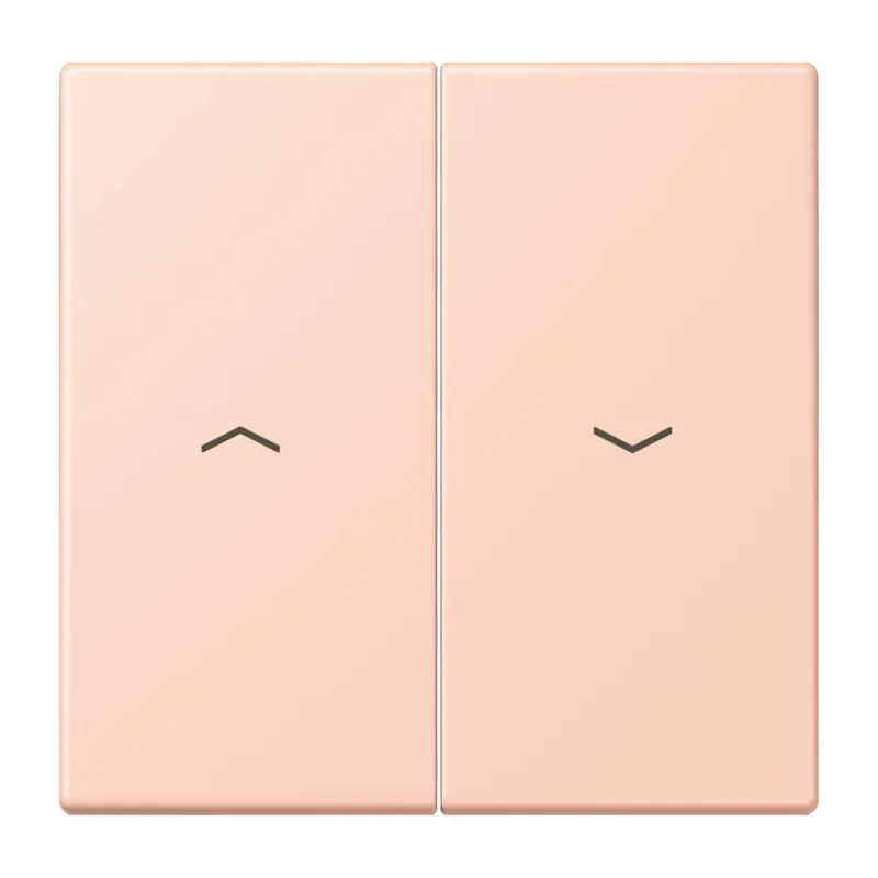 Jung Wippe 2fach, mit Pfeilsymbolen, Serie LS, l'ocre rouge clair LC995P234