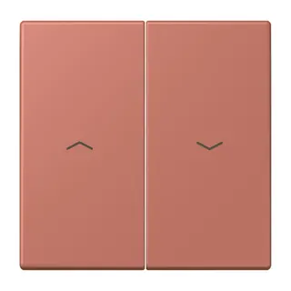 Jung Wippe 2fach, mit Pfeilsymbolen, Serie LS, terre sienne brique LC995P236