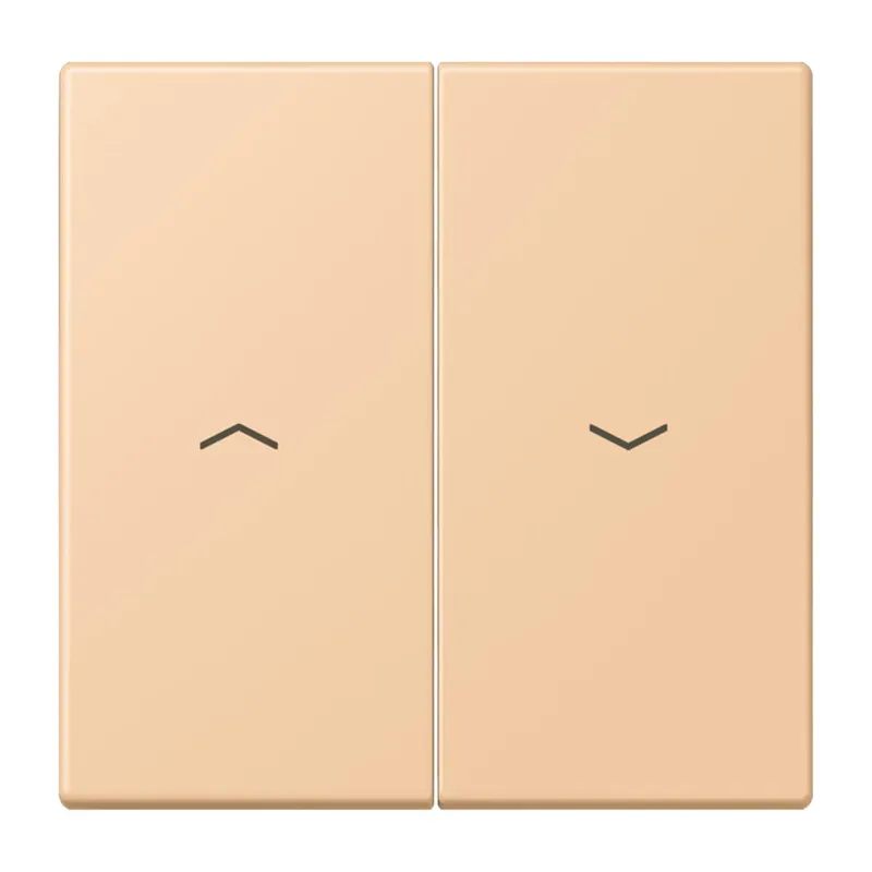Jung Wippe 2fach, mit Pfeilsymbolen, Serie LS, terre sienne claire 31 LC995P237