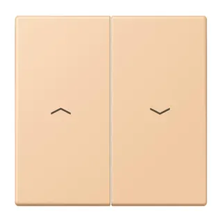 Jung Wippe 2fach, mit Pfeilsymbolen, Serie LS, terre sienne claire 31 LC995P237