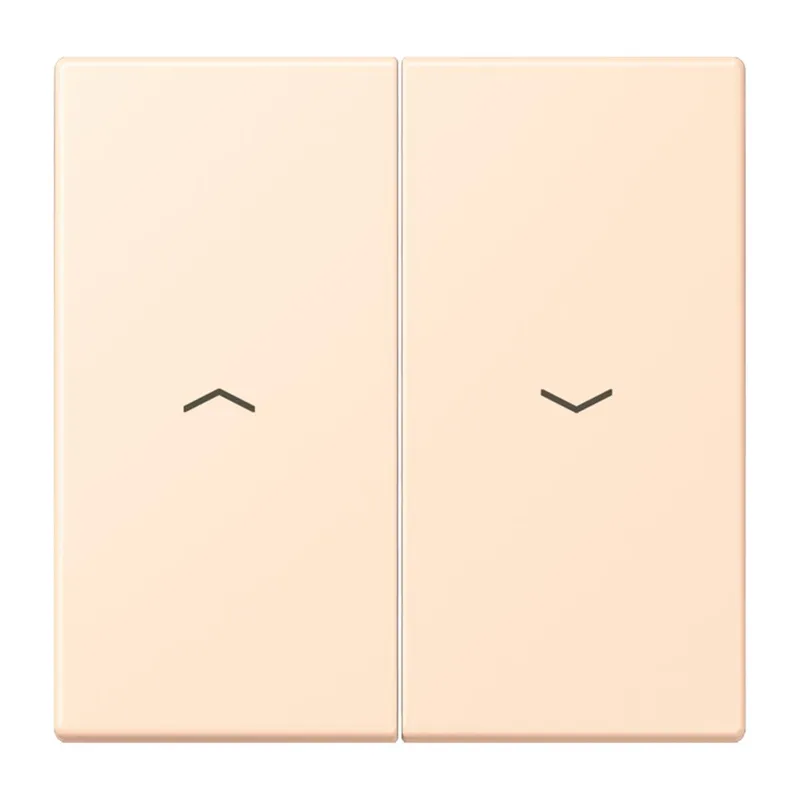 Jung Wippe 2fach, mit Pfeilsymbolen, Serie LS, terre sienne pâle LC995P238