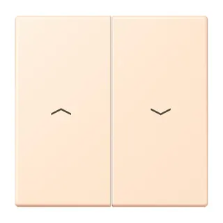 Jung Wippe 2fach, mit Pfeilsymbolen, Serie LS, terre sienne pâle LC995P238