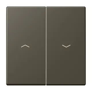 Jung Wippe 2fach, mit Pfeilsymbolen, Serie LS, ombre naturelle 31 LC995P241