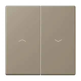 Jung Wippe 2fach, mit Pfeilsymbolen, Serie LS, ombre naturelle moyenne LC995P242
