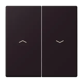 Jung Wippe 2fach, mit Pfeilsymbolen, Serie LS, noir d'ivoire LC995P248