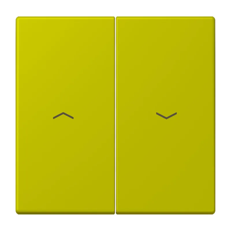 Jung Wippe 2fach, mit Pfeilsymbolen, Serie LS, vert olive vif LC995P249
