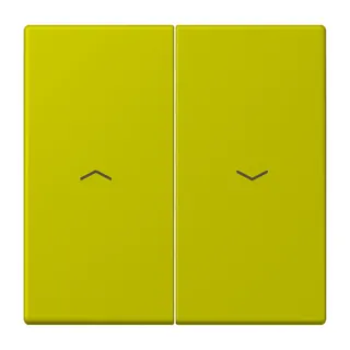 Jung Wippe 2fach, mit Pfeilsymbolen, Serie LS, vert olive vif LC995P249