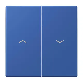 Jung Wippe 2fach, mit Pfeilsymbolen, Serie LS, bleu outremer 59 LC995P253