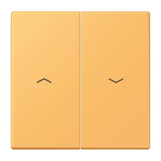 Jung Wippe 2fach, mit Pfeilsymbolen, Serie LS, ocre jaune clair LC995P254