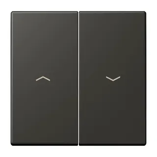 Jung Wippe 2fach, mit Pfeilsymbolen, Serie LS, ombre naturelle 59 LC995P259