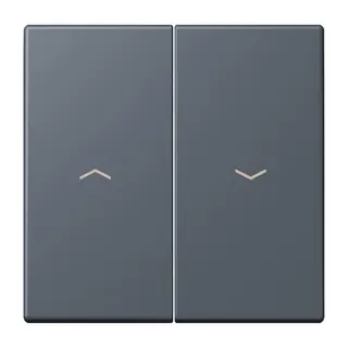 Jung Wippe 2fach, mit Pfeilsymbolen, Serie LS, gris fonce 59 LC995P262