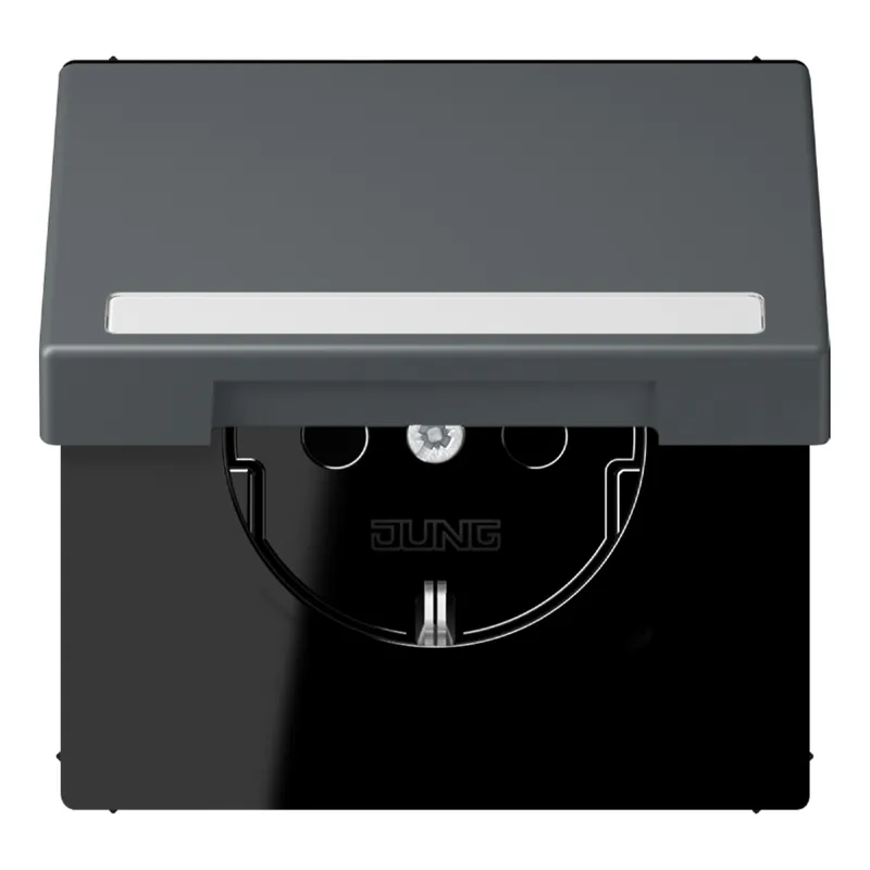 Jung SCHUKO Steckdose, 16 A 250 V ~, mit Schriftfeld, Serie LS, gris fo LC1520BFNAKL202