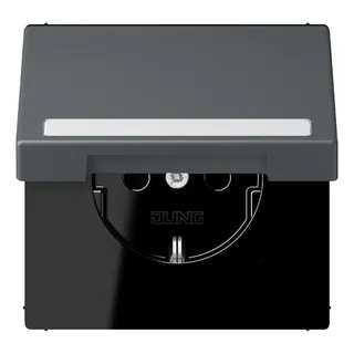 Jung SCHUKO Steckdose, 16 A 250 V ~, mit Schriftfeld, Serie LS, gris fo LC1520BFNAKL202