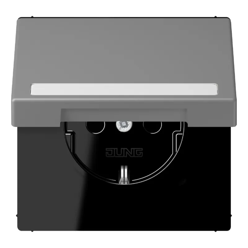 Jung SCHUKO Steckdose, 16 A 250 V ~, mit Schriftfeld, Serie LS, gris 31 LC1520BFNAKL203