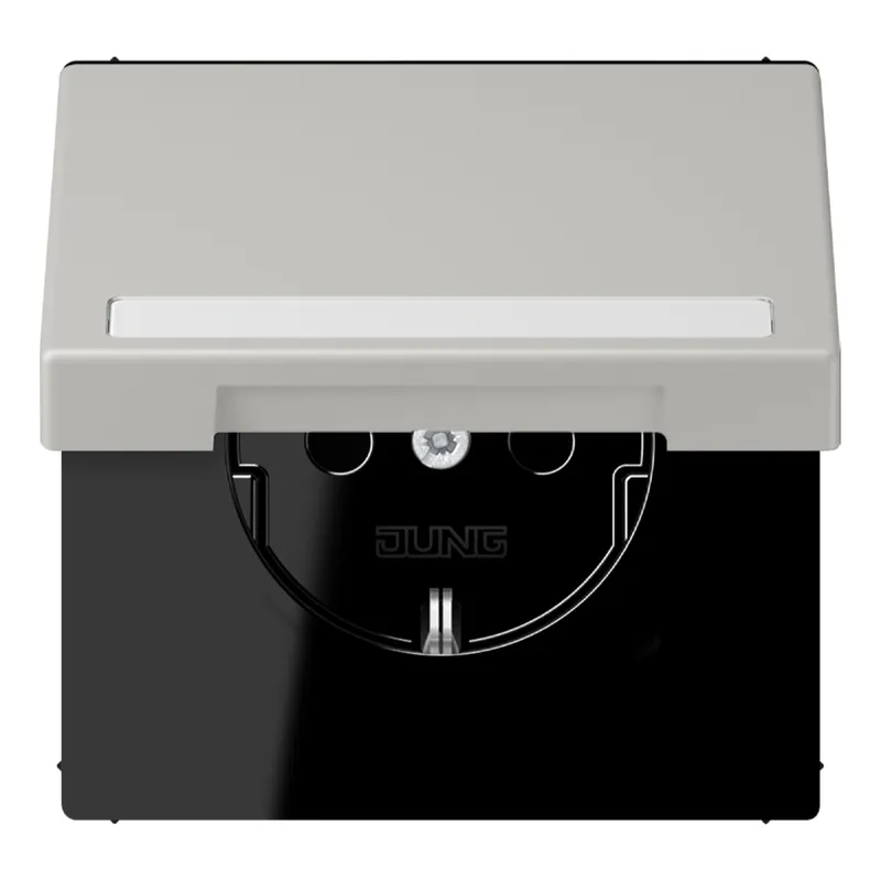 Jung SCHUKO Steckdose, 16 A 250 V ~, mit Schriftfeld, Serie LS, gris cl LC1520BFNAKL205
