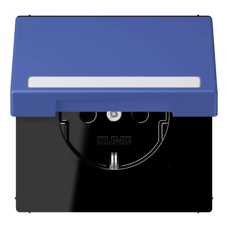 Jung SCHUKO Steckdose, 16 A 250 V ~, mit Schriftfeld, Serie LS, bleu ou LC1520BFNAKL206