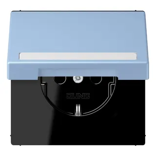 Jung SCHUKO Steckdose, 16 A 250 V ~, mit Schriftfeld, Serie LS, outreme LC1520BFNAKL207