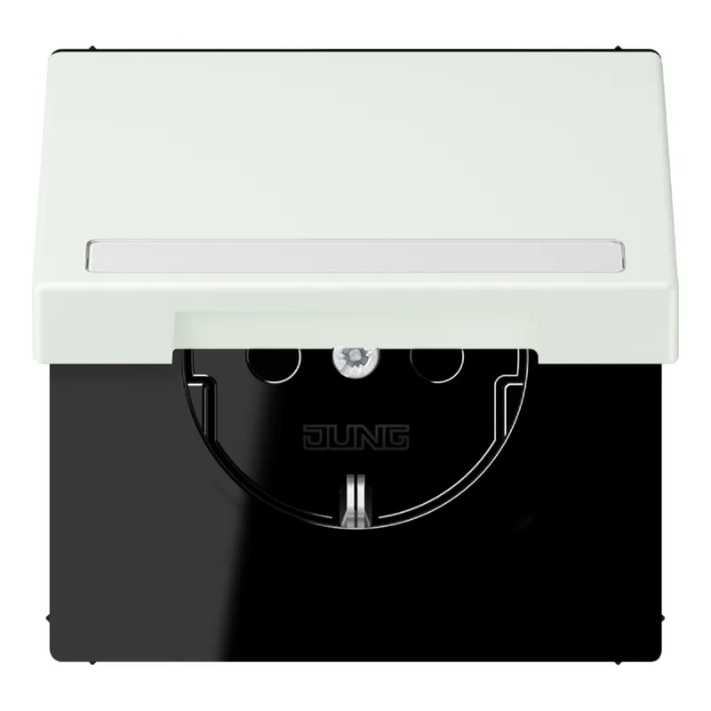 Jung SCHUKO Steckdose, 16 A 250 V ~, mit Schriftfeld, Serie LS, outreme LC1520BFNAKL210