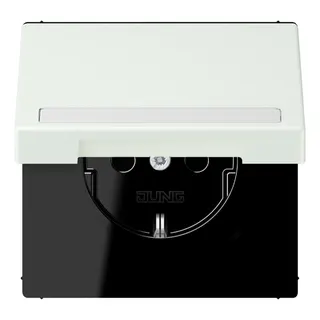 Jung SCHUKO Steckdose, 16 A 250 V ~, mit Schriftfeld, Serie LS, outreme LC1520BFNAKL210