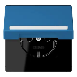 Jung SCHUKO Steckdose, 16 A 250 V ~, mit Schriftfeld, Serie LS, bleu cé LC1520BFNAKL211