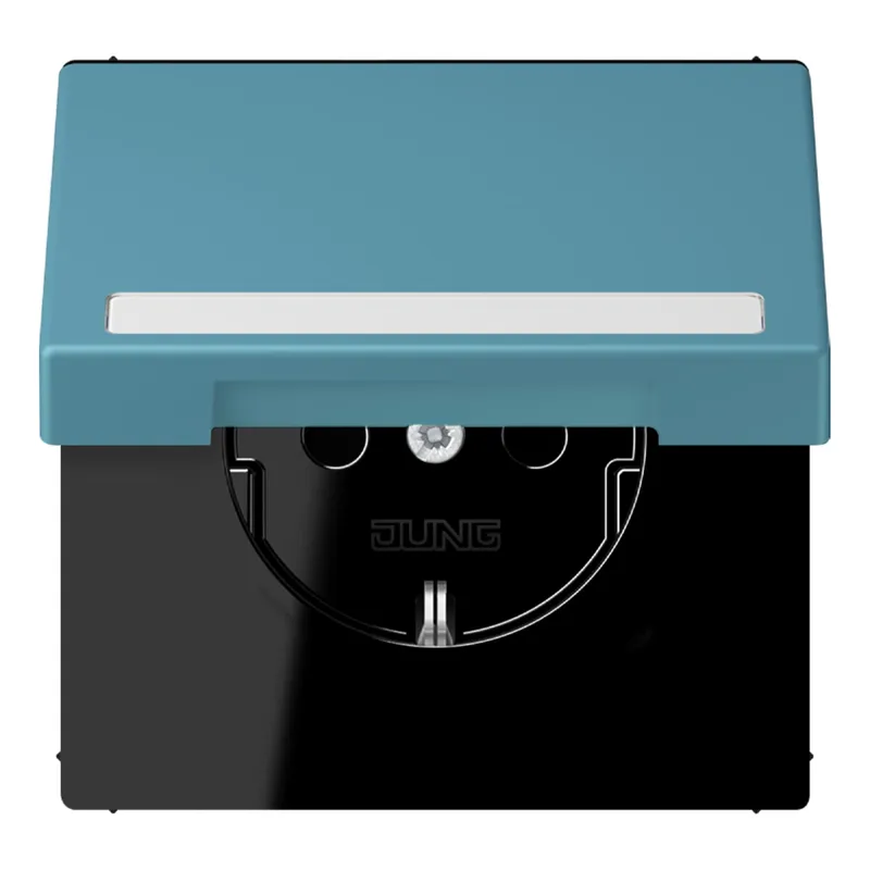 Jung SCHUKO Steckdose, 16 A 250 V ~, mit Schriftfeld, Serie LS, cérulée LC1520BFNAKL212