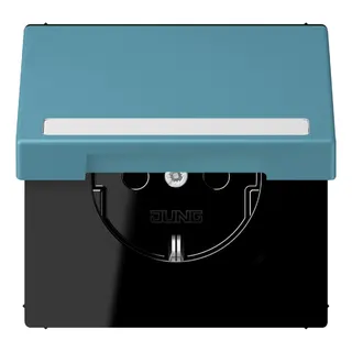Jung SCHUKO Steckdose, 16 A 250 V ~, mit Schriftfeld, Serie LS, cérulée LC1520BFNAKL212