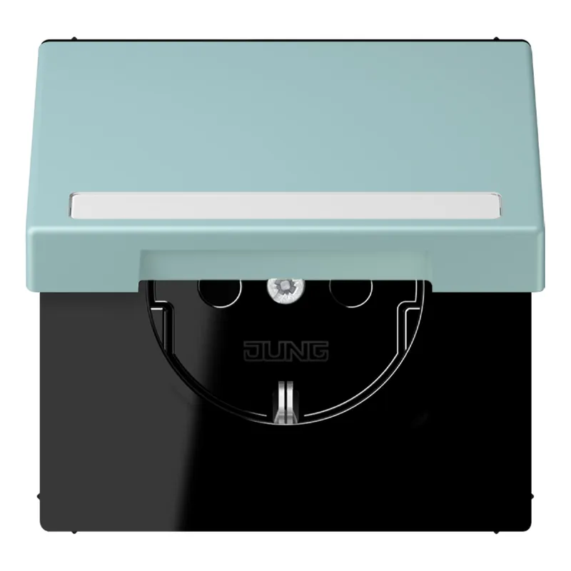 Jung SCHUKO Steckdose, 16 A 250 V ~, mit Schriftfeld, Serie LS, cérulée LC1520BFNAKL214