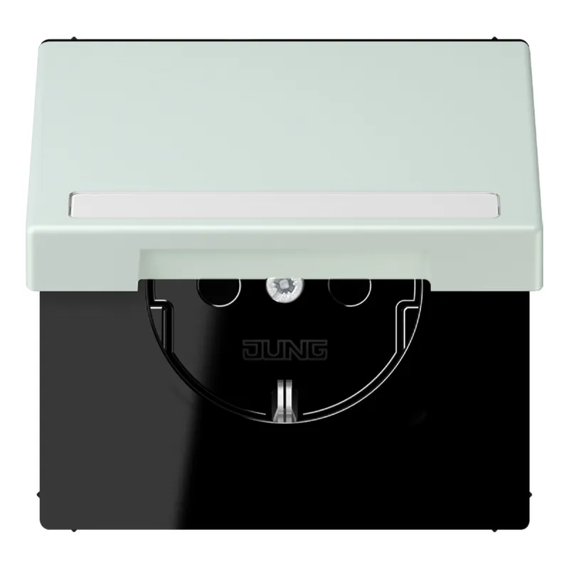 Jung SCHUKO Steckdose, 16 A 250 V ~, mit Schriftfeld, Serie LS, cérulée LC1520BFNAKL215