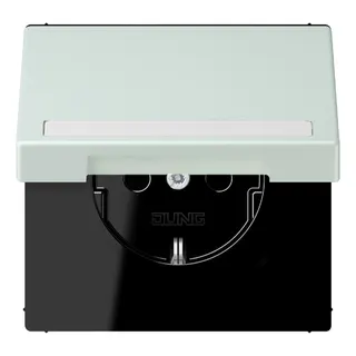 Jung SCHUKO Steckdose, 16 A 250 V ~, mit Schriftfeld, Serie LS, cérulée LC1520BFNAKL215