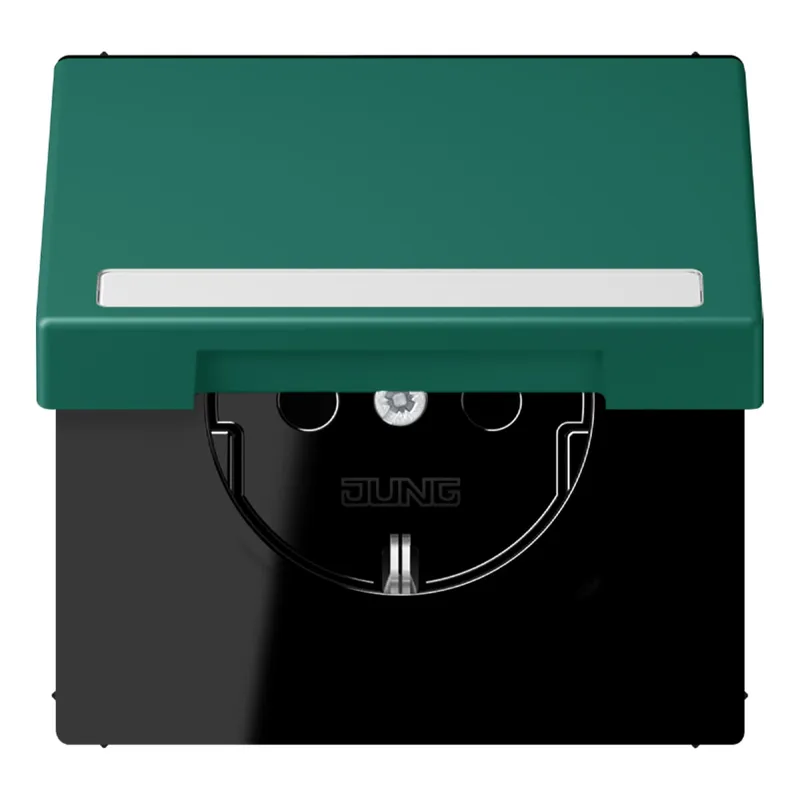 Jung SCHUKO Steckdose, 16 A 250 V ~, mit Schriftfeld, Serie LS, vert an LC1520BFNAKL216