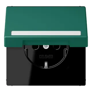 Jung SCHUKO Steckdose, 16 A 250 V ~, mit Schriftfeld, Serie LS, vert an LC1520BFNAKL216