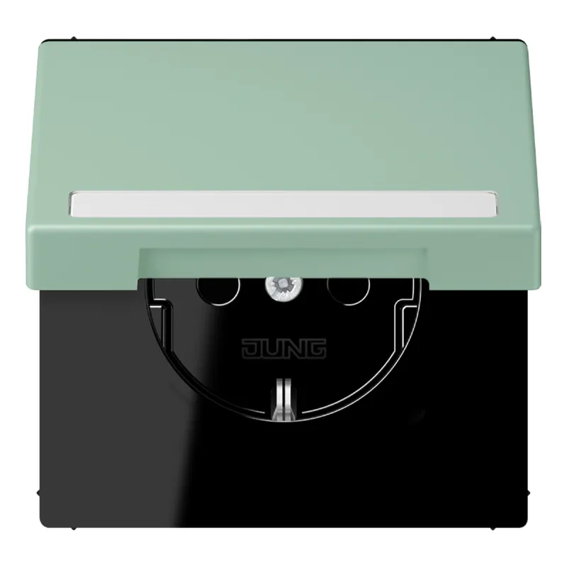 Jung SCHUKO Steckdose, 16 A 250 V ~, mit Schriftfeld, Serie LS, vert an LC1520BFNAKL217