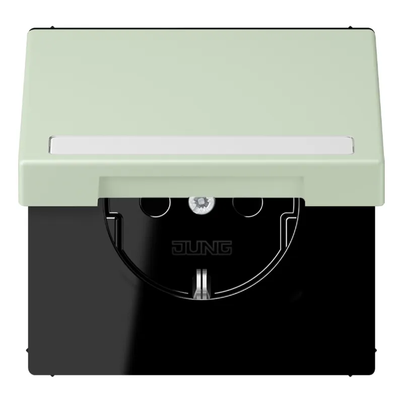 Jung SCHUKO Steckdose, 16 A 250 V ~, mit Schriftfeld, Serie LS, vert an LC1520BFNAKL218