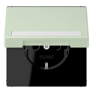 Jung SCHUKO Steckdose, 16 A 250 V ~, mit Schriftfeld, Serie LS, vert an LC1520BFNAKL218
