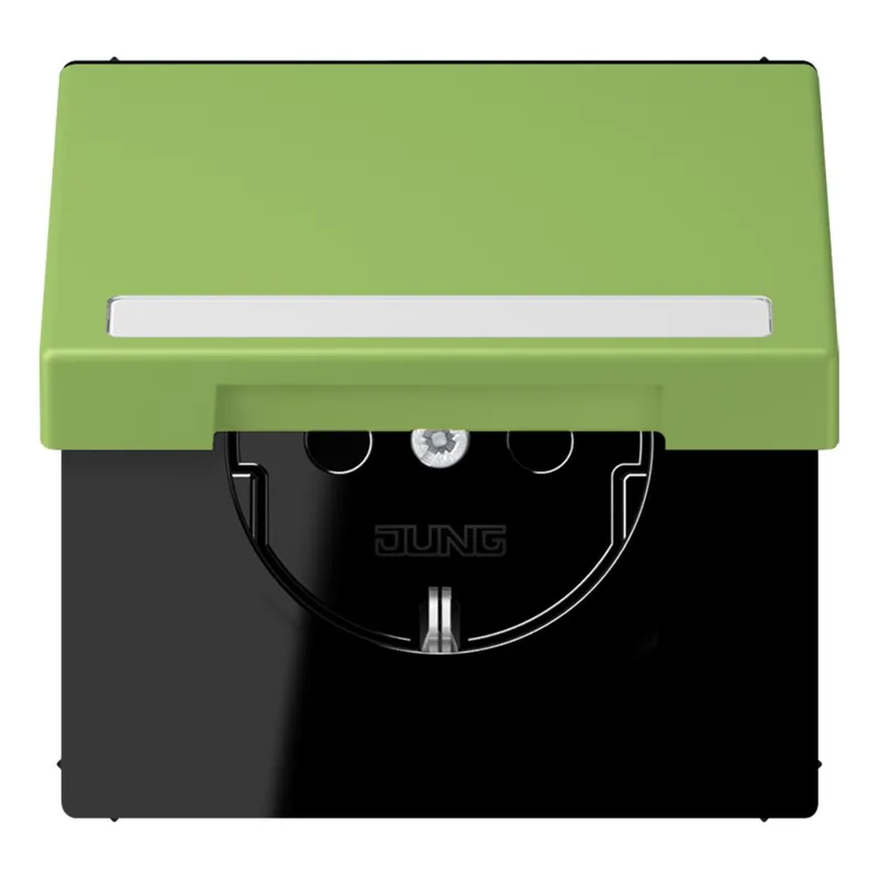 Jung SCHUKO Steckdose, 16 A 250 V ~, mit Schriftfeld, Serie LS, vert 31 LC1520BFNAKL220