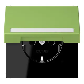 Jung SCHUKO Steckdose, 16 A 250 V ~, mit Schriftfeld, Serie LS, vert 31 LC1520BFNAKL220